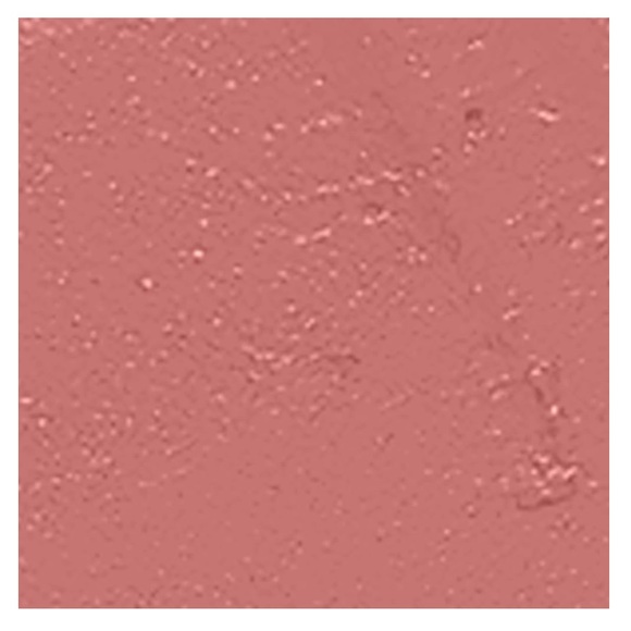 NWOB L’Oreal Paris Color Riche Lipstick in shade 108 Le Nude Rebellious - Picture 10 of 12